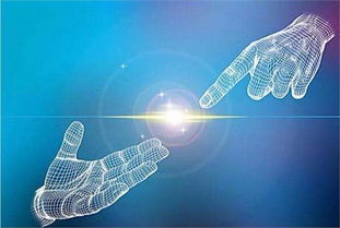 广州区块狗系统盈利模式开发 技术赋能与商业变现路径解析